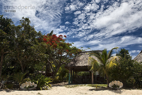 Tropisch  Tropen  subtropisch  Hütte  Strand  klein