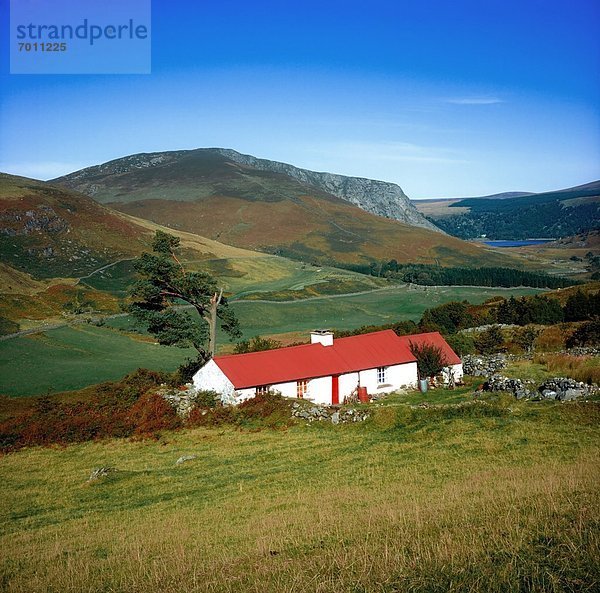 Traditional Cottages  Lough Dan  Co Wicklow