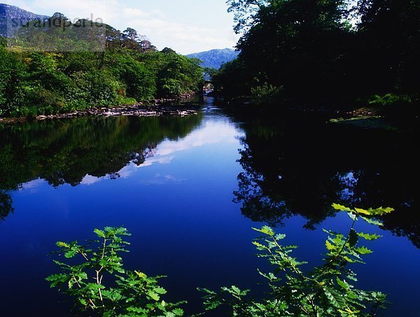 Lough Leane  Killarney Nationalpark  Irland