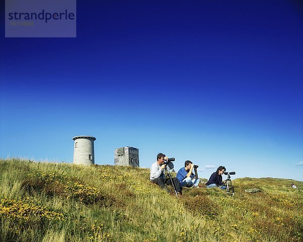 sitzend  frontal  Leuchtturm  Irland