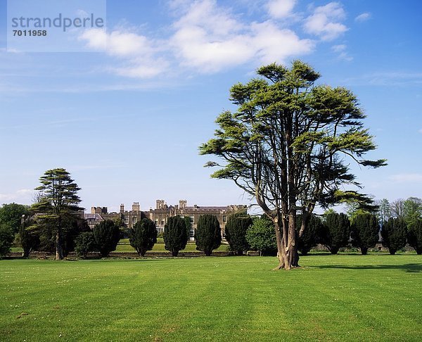 Ardgillan Demesne Co Dublin  The House & Pleasure Grounds  & Lebanon Cedar Summer
