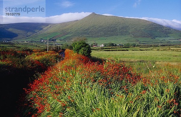 Kerry County  Irland