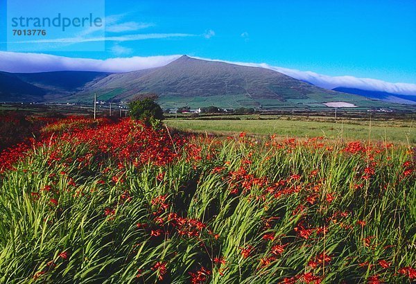 Kerry County  Irland