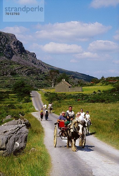 Kerry County  Killarney Nationalpark  Irland