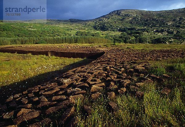 Kerry County  Killarney Nationalpark  Irland