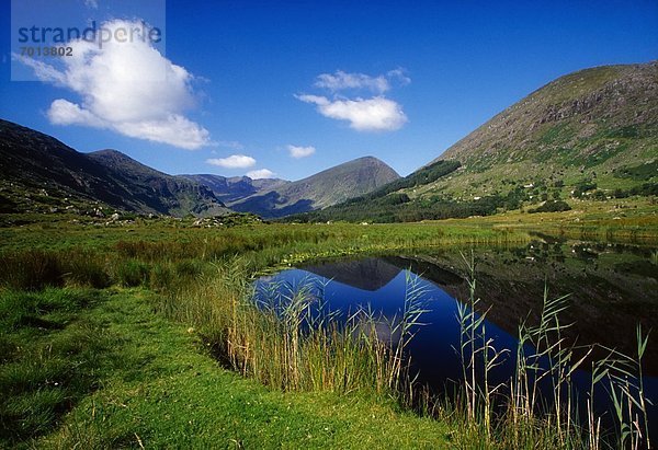 Kerry County  Killarney Nationalpark  Irland