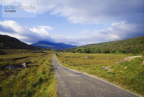 Kerry County  Killarney Nationalpark  Irland