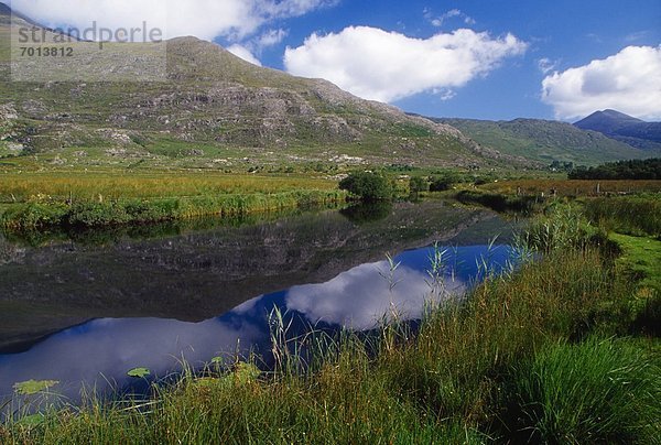 Kerry County  Killarney Nationalpark  Irland