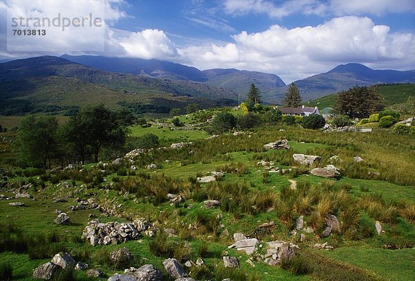 Kerry County  Killarney Nationalpark  Irland