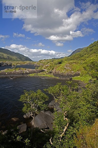 Kerry County  Killarney Nationalpark  Irland