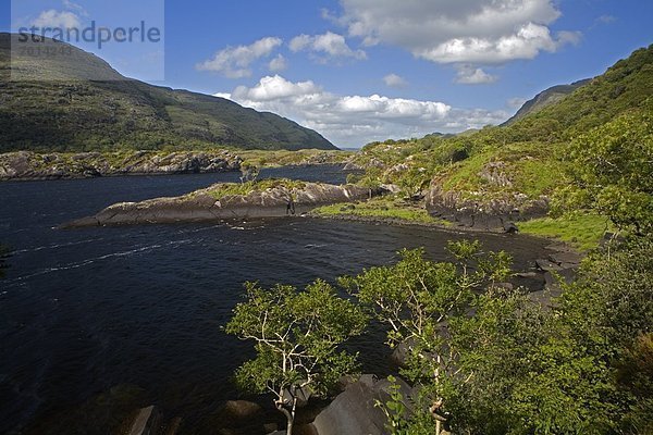 Kerry County  Killarney Nationalpark  Irland