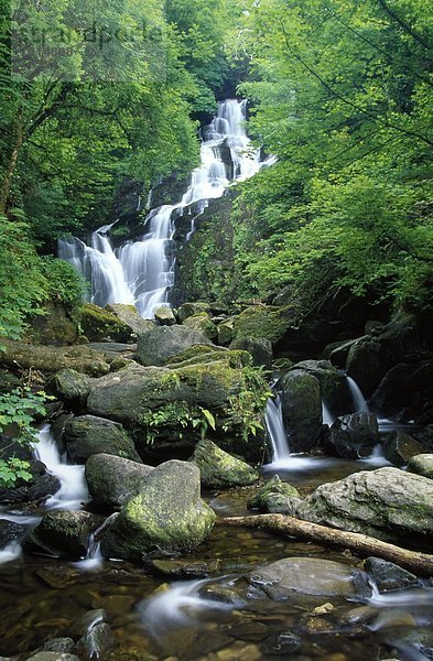 Kerry County  Killarney Nationalpark  Irland  Torc-Wasserfall