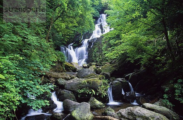 Kerry County  Killarney Nationalpark  Irland  Torc-Wasserfall