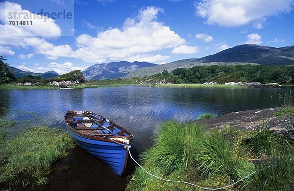 Kerry County  Killarney Nationalpark  Irland