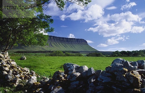 Steinmauer im Vordergrund von Benbulbin Felsformation  Grafschaft Sligo  Irland