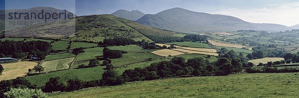 Co Down  Mourne Mountains  Near Trassey Road