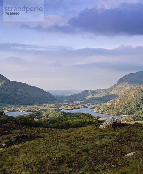 Kerry  Killarney Ladies View  1377