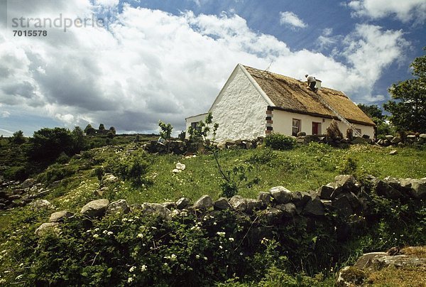 Traditional Thatching  Co Galway