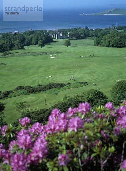 Dublin County  Irland