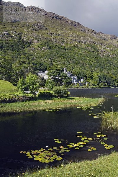 County Galway  Irland