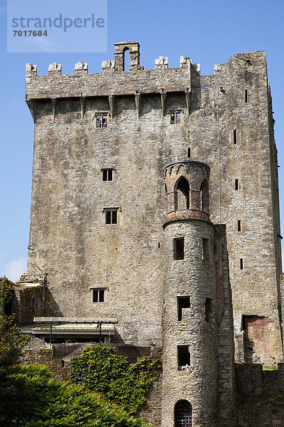 'Blarney castle