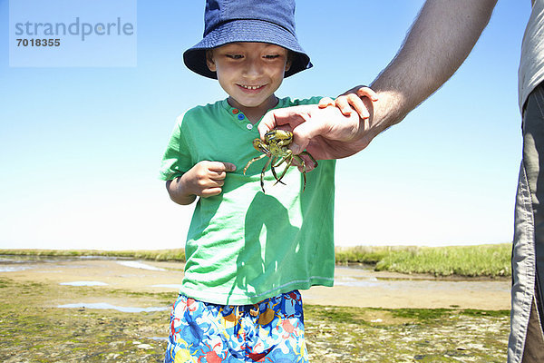 Junge untersucht Krabbe in Vaters Hand