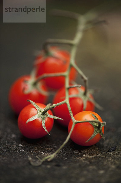 Nahaufnahme von Kirschtomaten an der Rebe