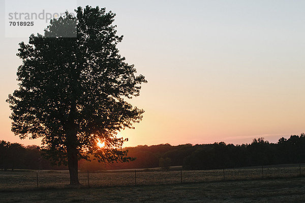 Sonnenuntergang über ländlicher Landschaft