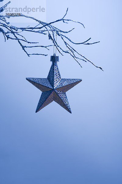 Sternförmiger Weihnachtsschmuck am Ast hängend