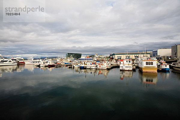 Hafen  Reykjavik  Island