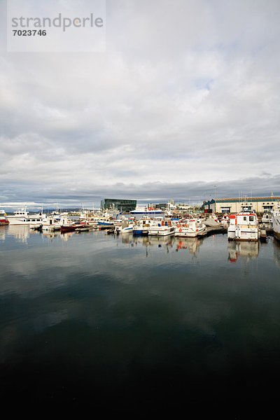 Hafen  Reykjavik  Island