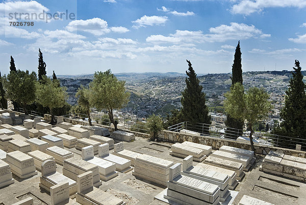 Berg  Olive  Friedhof  Judentum