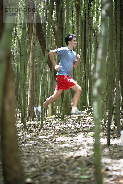 Mann  rennen  Wald  jung
