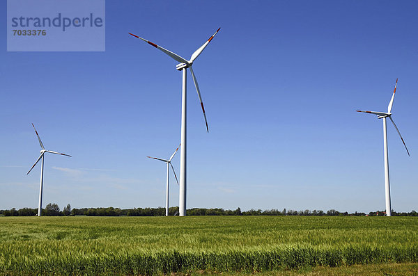 Windturbine Windrad Windräder Kornfeld Deutschland Mecklenburg-Vorpommern