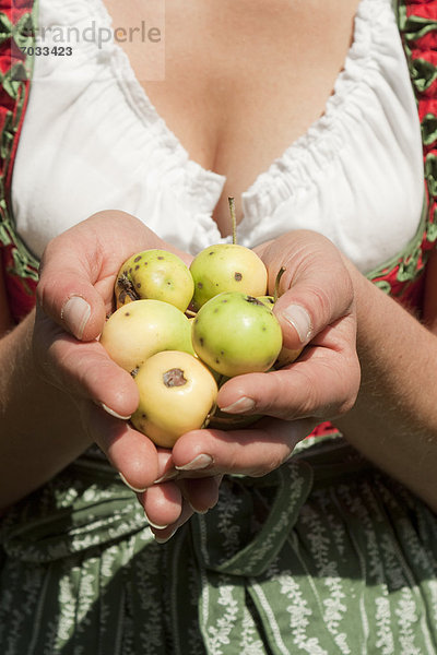 Frau im Dirndl hält Äpfel