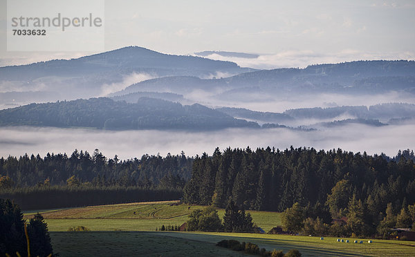 Morgennebel über dem Bayerischen Wald bei Altreichenau  Deutschland