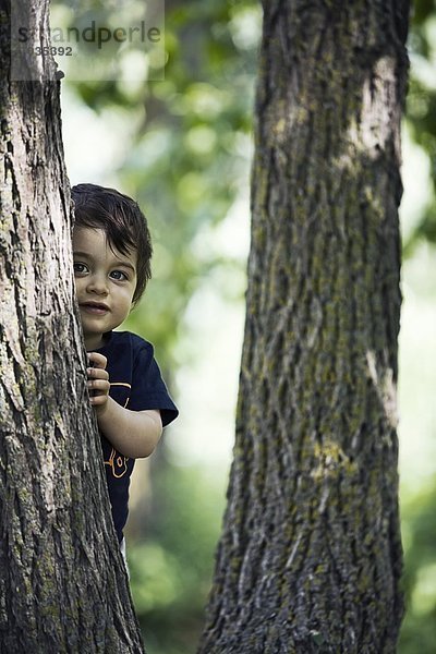hinter  Junge - Person  Baum  jung