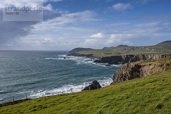 Küstenlandschaft  Dingle-Halbinsel  County Kerry  Republik Irland  Europa