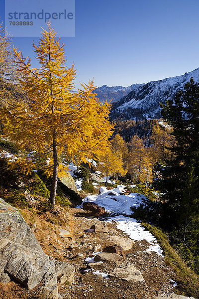 Bergsteiger beim Aufstieg zur Höchster Hütte im Ultental oberhalb vom Wei_brunnsee  Südtirol  Italien  Europa