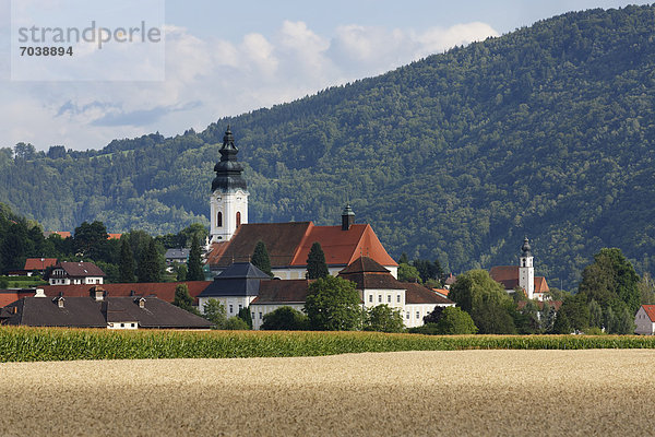 Stift Engelszell  Gemeinde Engelhartszell an der Donau  Innviertel  Oberösterreich  Österreich  Europa  ÖffentlicherGrund