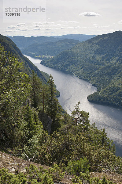 Blick von oben auf den fjordähnlichen See Bandak  LÂrdalstigen bei Dalen  Lardalstigen  Telemark  Norwegen  Skandinavien  Nordeuropa  Europa
