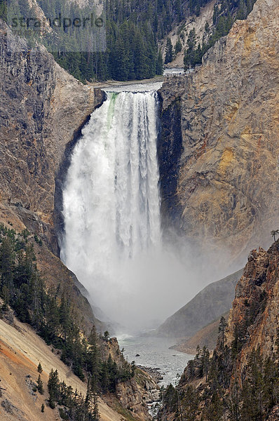 Lower Falls  Wasserfall des Yellowstone River oder Yellowstone-Fluss  Grand Canyon of the Yellowstone  Yellowstone Nationalpark  Wyoming  USA