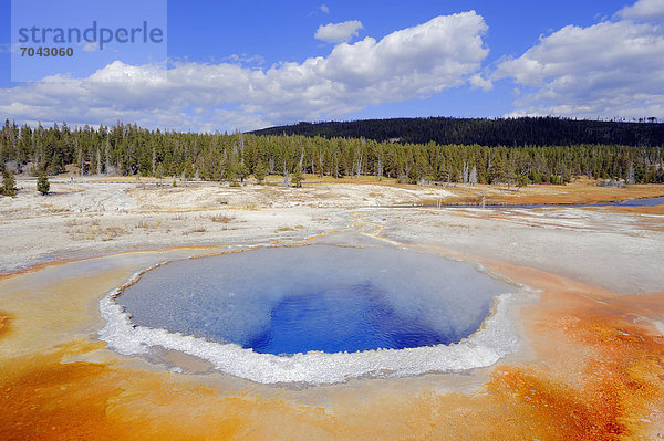 Crested Pool  heiße Quelle  Upper Geyser Basin  Yellowstone Nationalpark  Wyoming  USA