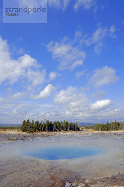 Opal Pool  heiße Quelle  Midway Geyser Basin  Yellowstone Nationalpark  Wyoming  USA