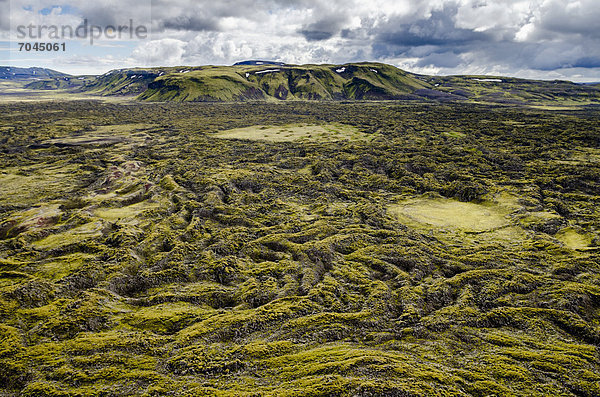 Luftaufnahme  mit Moos bewachsenes Lavafeld  Laki-Krater oder LakagÌgar  Hochland  Süd-Island  Su_urland  Island  Europa