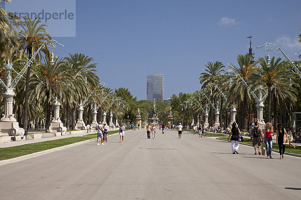 Grünanlage mit Palmen  Parc de l'EstaciÛ  Barcelona  Katalonien  Spanien  Europa  ÖffentlicherGrund
