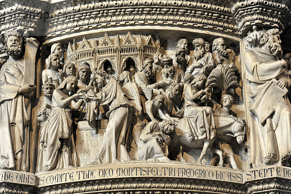 Marmorkanzel von Giovanni Pisano  Detail  Duomo Santa Maria Assunta  Dom  UNESCO-Weltkulturerbe  Piazza Dei Miracoli  Pisa  Toskana  Italien  Europa