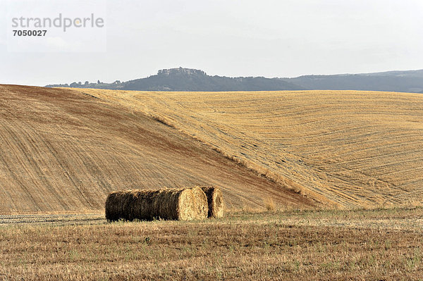 Strohballen  abgeerntete Weizenfelder  Landschaft vor Radicofani und Monte Amiata  Provinz Siena und Grosseto  Toskana  Italien  Europa