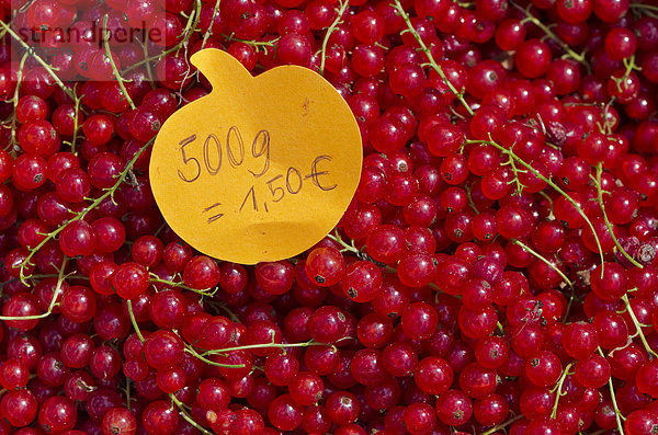 Rote Johannisbeeren mit Preisschild zum Verkauf auf dem Wochenmarkt in Dresden  Sachsen  Deutschland  Europa
