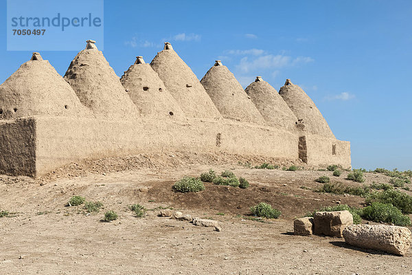 Traditional beehive adobe house  Harran  Sanliurfa province  Eastern Turkey